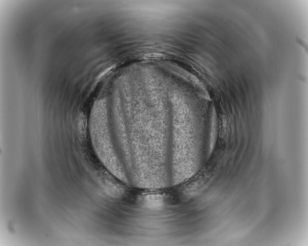 X0000096990228200802221505