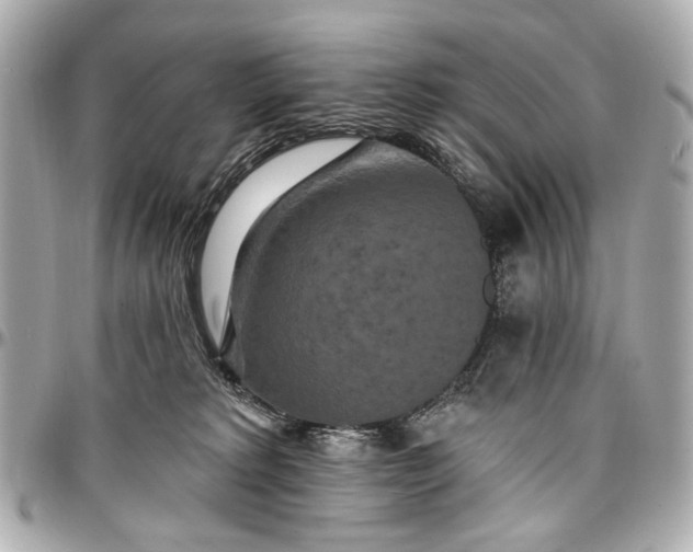 X0000096990229200802221505