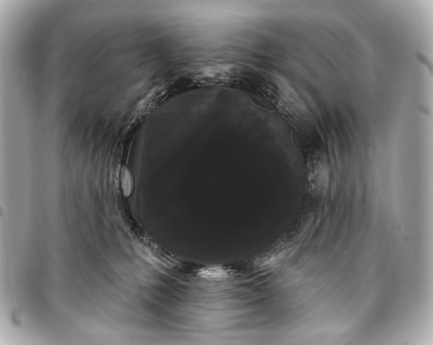 X0000096990231200802221505