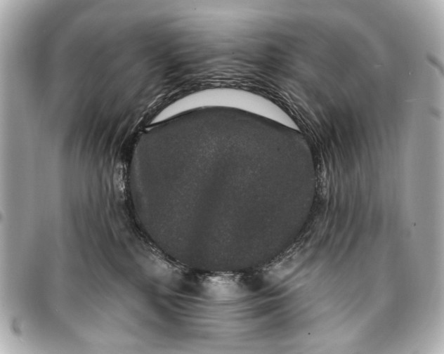 X0000096990232200802221505