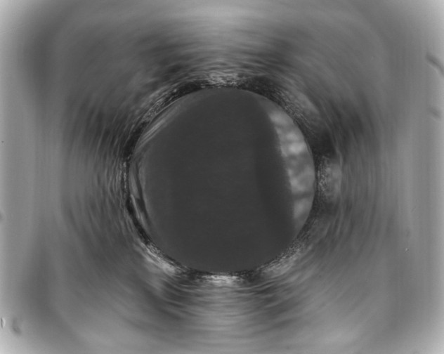 X0000096990233200802221505