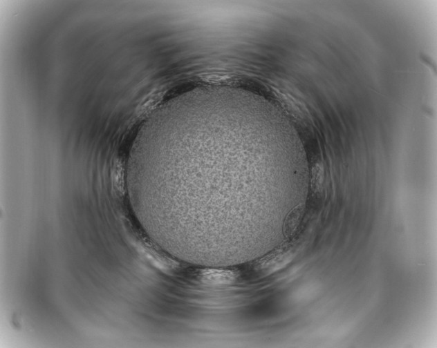 X0000096990234200802221505