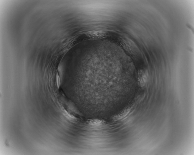 X0000096990235200802221505