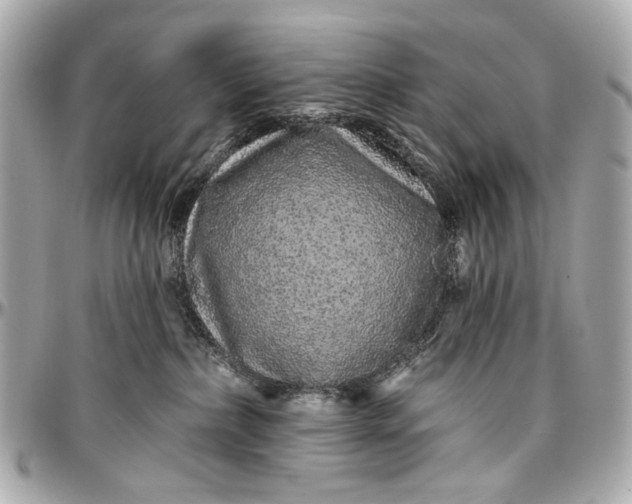 X0000096990236200802221505