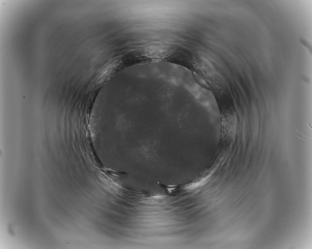 X0000096990237200802221505