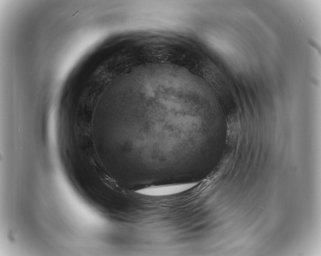 X0000096990239200802221505