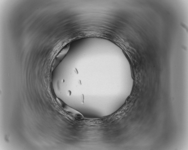 X0000096990241200802221505