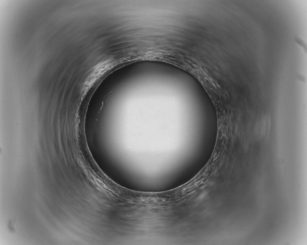 X0000096990242200802221505