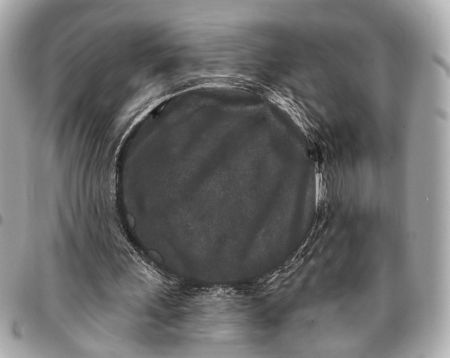 X0000096990243200802221505