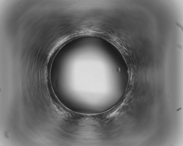 X0000096990244200802221505