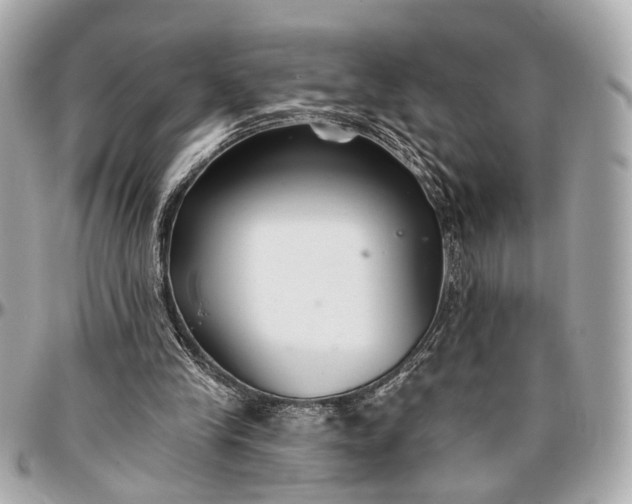 X0000096990245200802221505