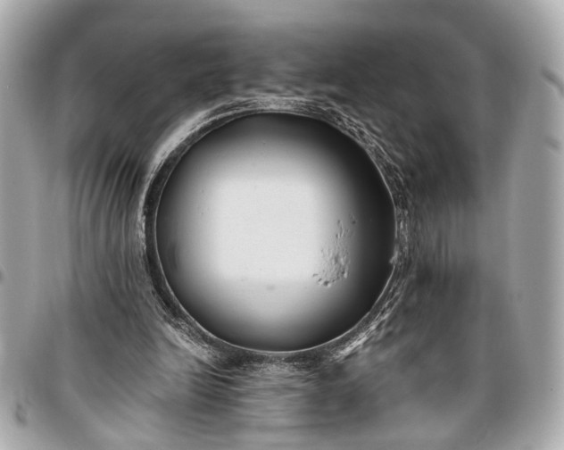 X0000096990246200802221505