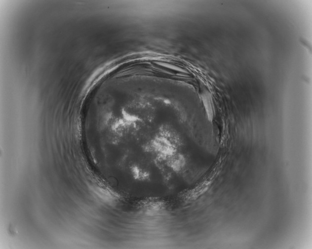 X0000096990247200802221505