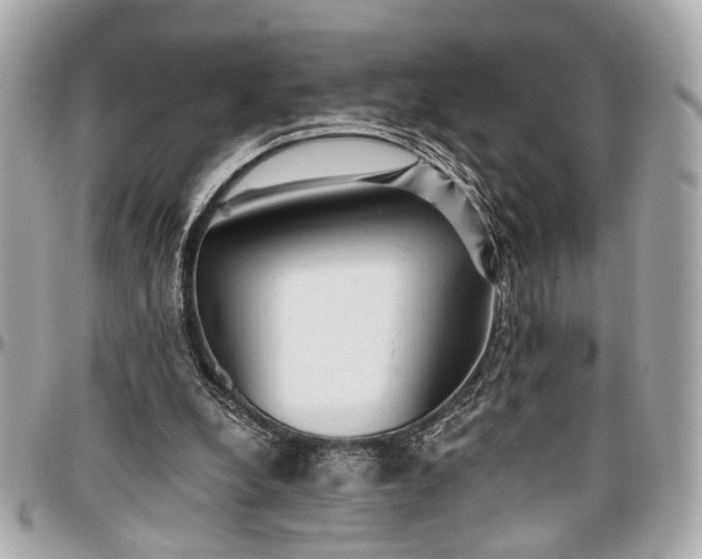 X0000096990248200802221505