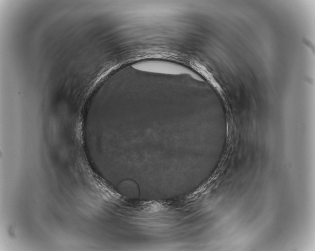 X0000096990249200802221505