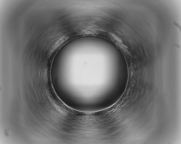 X0000096990250200802221505