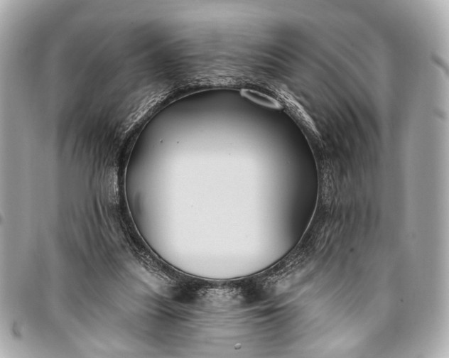 X0000096990251200802221505