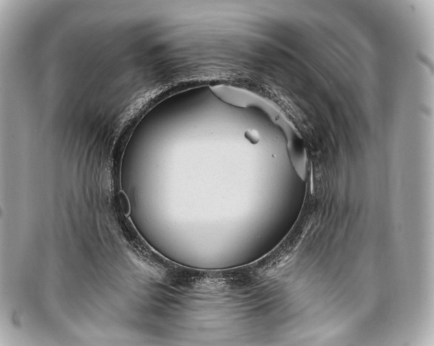 X0000096990252200802221505