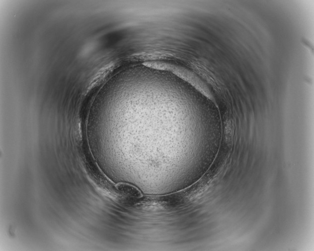 X0000096990254200802221505