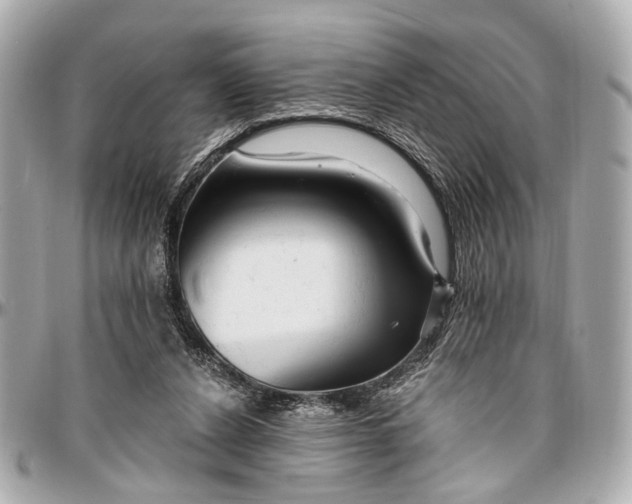 X0000096990256200802221505