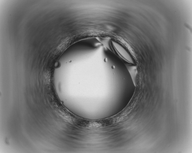 X0000096990257200802221505