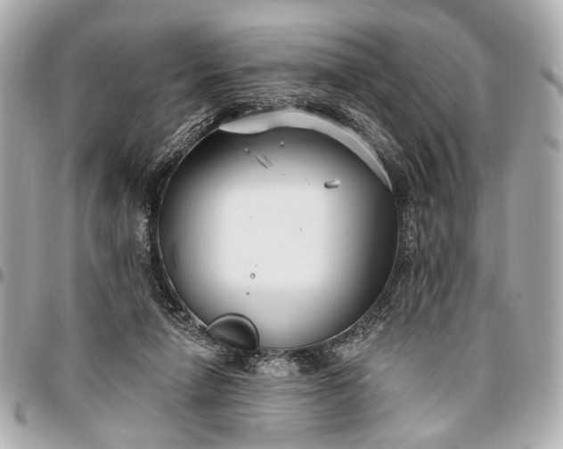 X0000096990258200802221505