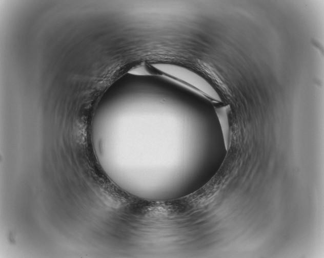 X0000096990259200802221505