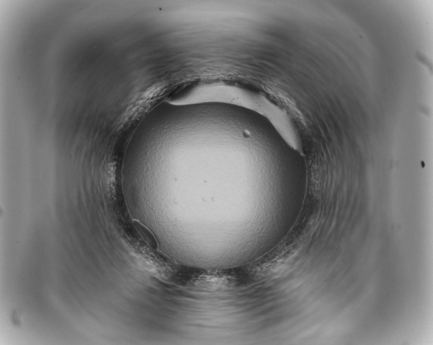 X0000096990260200802221505