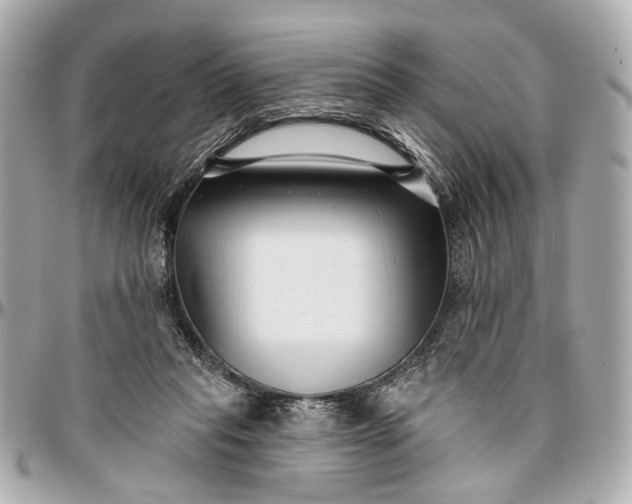 X0000096990261200802221505