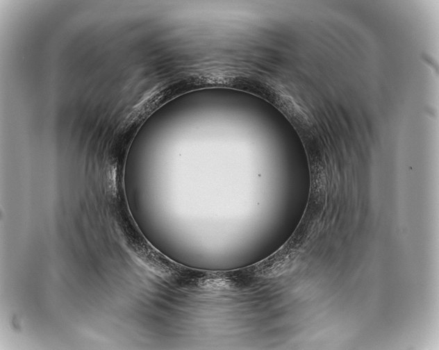 X0000096990262200802221505