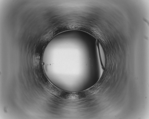 X0000096990263200802221505