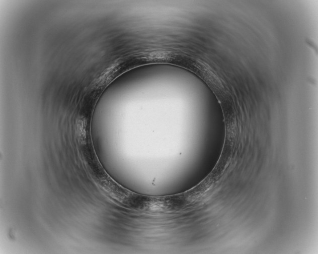 X0000096990264200802221505