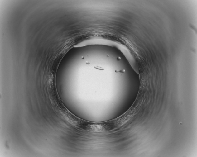 X0000096990265200802221505