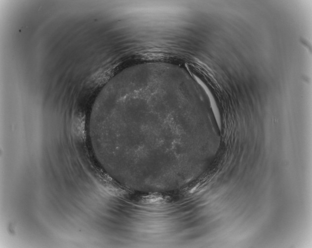 X0000096990267200802221505