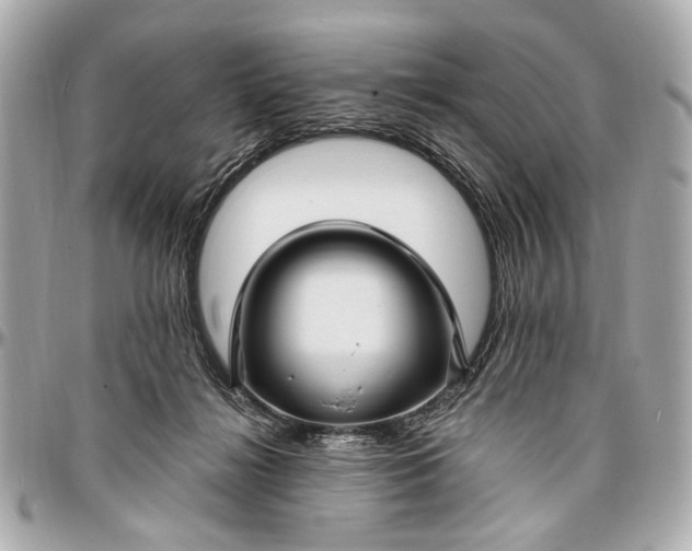 X0000096990268200802221505