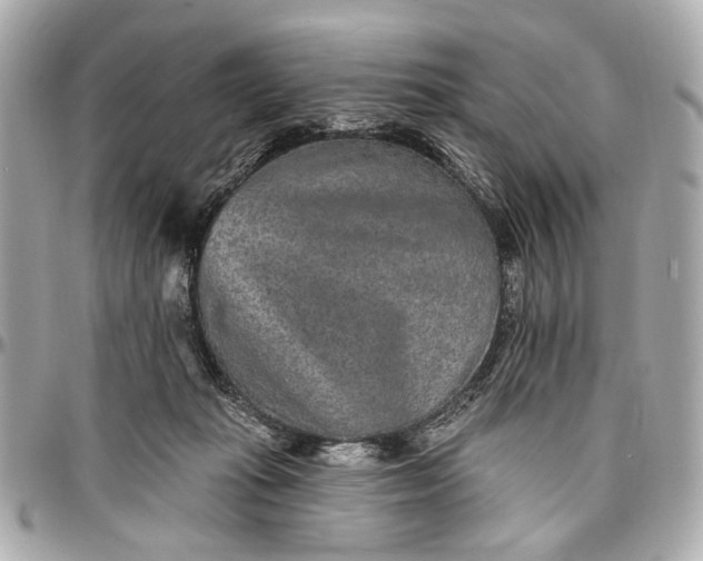 X0000096990269200802221505