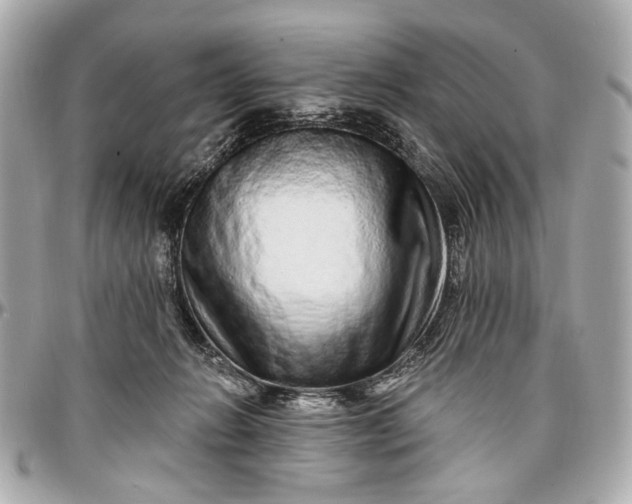 X0000096990270200802221505