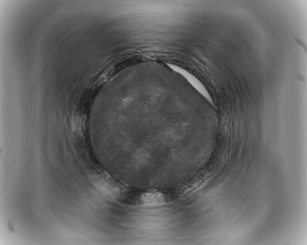 X0000096990271200802221505