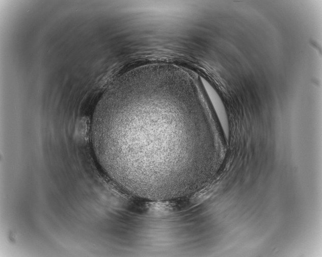 X0000096990273200802221505