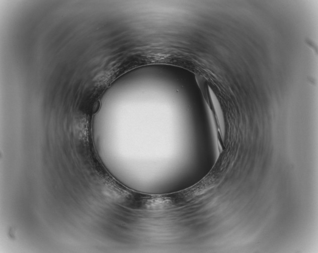 X0000096990274200802221505