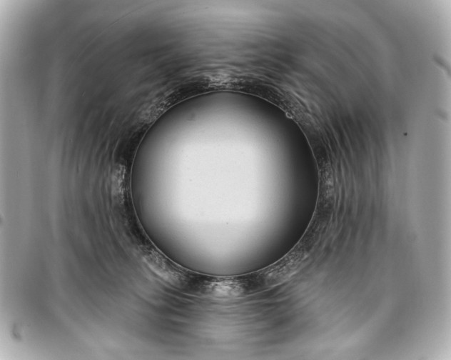 X0000096990275200802221505