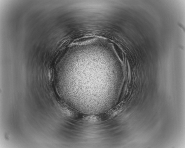 X0000096990276200802221505