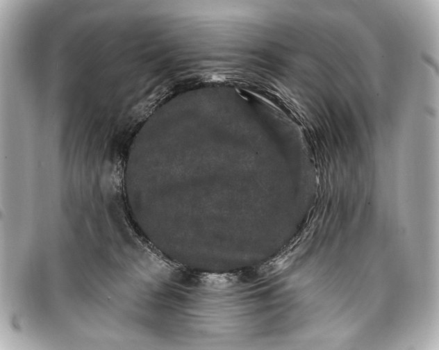 X0000096990277200802221505