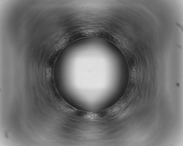 X0000096990278200802221505