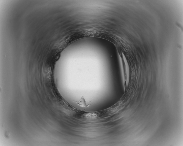 X0000096990279200802221505