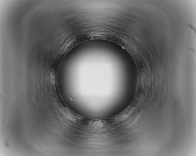 X0000096990282200802221505