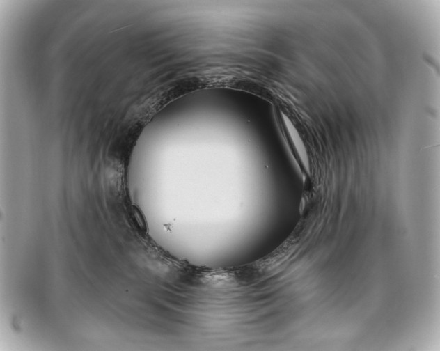 X0000096990283200802221505