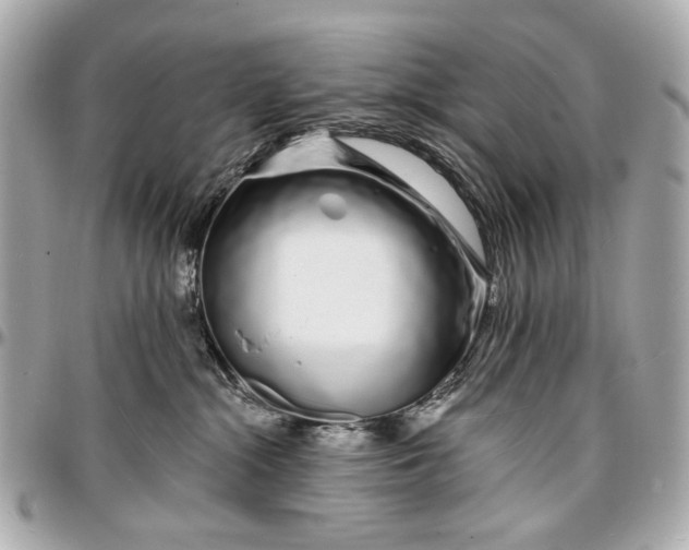 X0000096990284200802221505