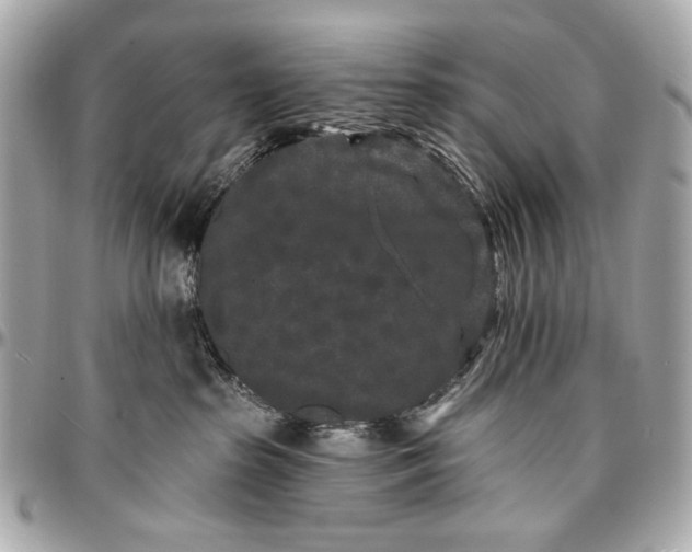 X0000096990285200802221505