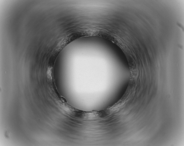 X0000096990286200802221505